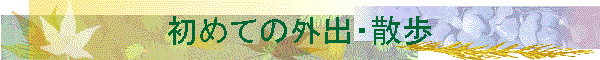߂Ă̊OoEU