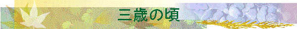 O΂̍