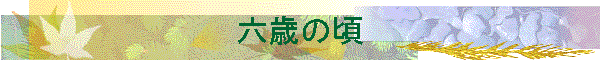 Z΂̍