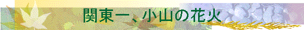 ֓AR̉ԉ