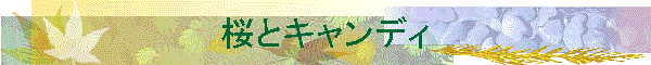 ƃLfB