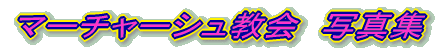 }[`[Vʐ^W
